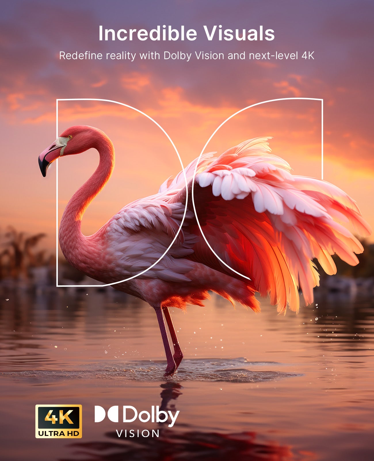 The flamingo with Dolby Vision effects is featured in the image.