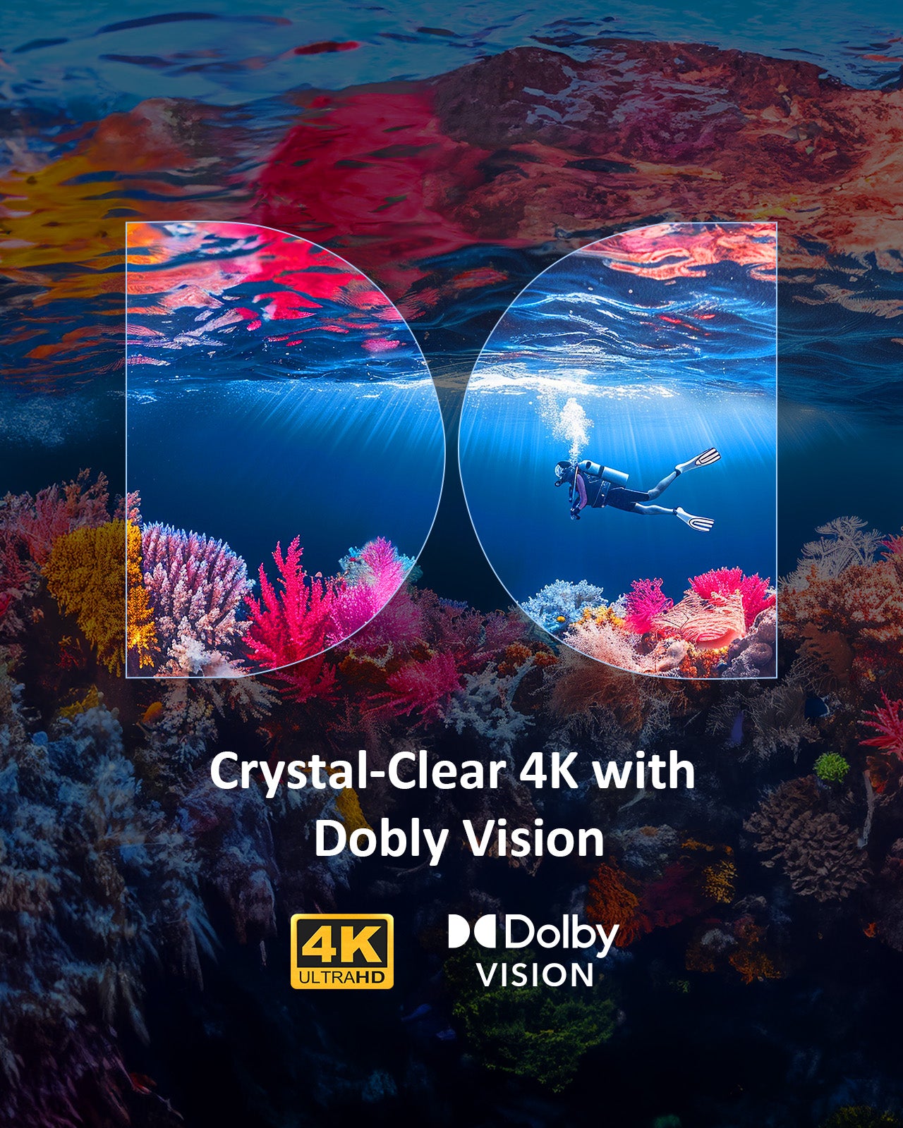 Shows a vibrant coral image. This 4K UHD Ultra Short Throw Laser Projector has Dolby Vision.